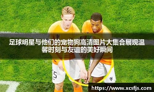 足球明星与他们的宠物狗高清图片大集合展现温馨时刻与友谊的美好瞬间